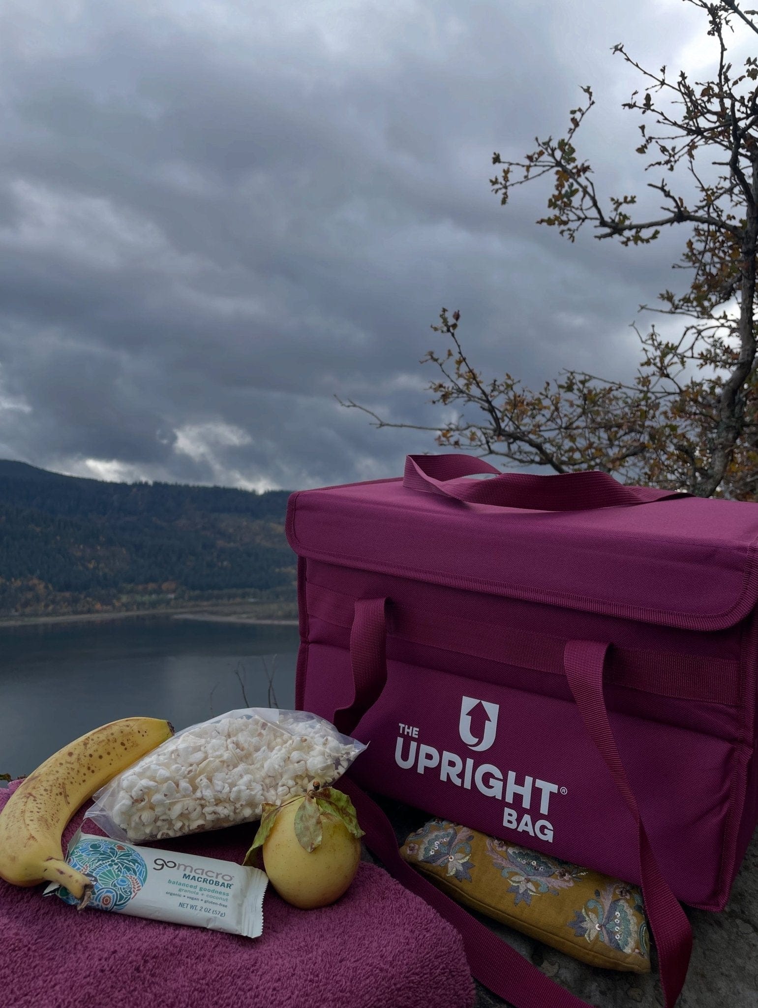 The Upright insulated snack Bag with snacks on a purple blanket against a lake and mountain backdrop